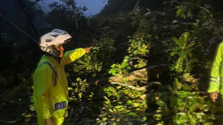 Longsor Timbun Badan Jalan di Kawasan Lembah Anai, Jalur Utama Padang-Bukittinggi Putus Total