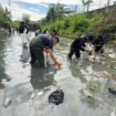 Foto: Kementerian Lingkungan Hidup/Badan Pengendalian Lingkungan Hidup (KLH/BPLH)