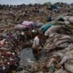 Ilustrasi Foto Sampah