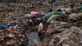 Ilustrasi Foto Sampah