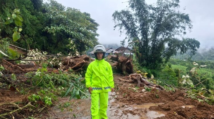 Lebih dari Setengah Wilayah Sumbar Dilanda Bencana Hidrometeorologi, Padang Pariaman Terparah