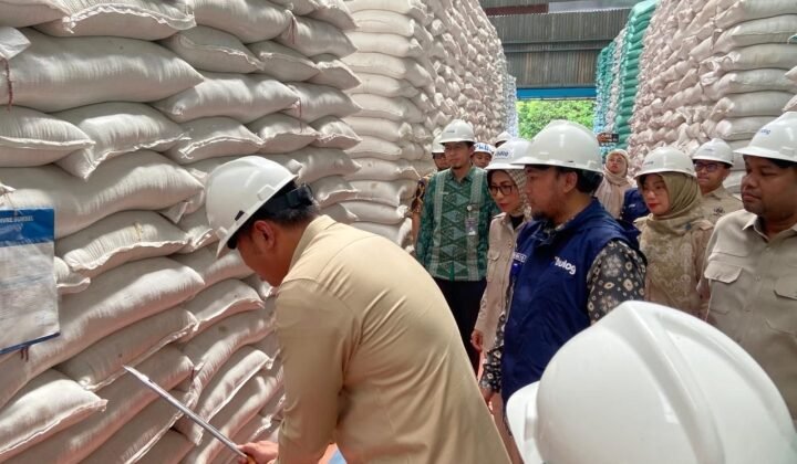 Cadangan Beras RI Tembus 5 Juta Ton, Tertinggi Sepanjang Sejarah
