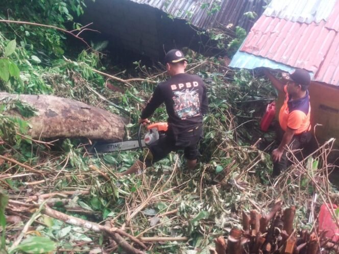 
Dok. Humas BPBD Padang