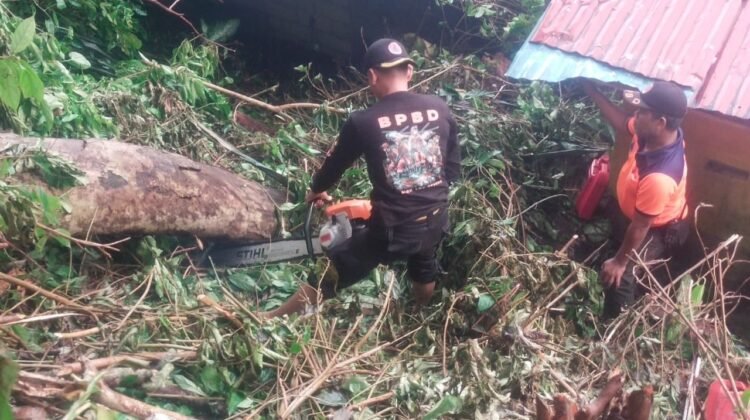 Dok. Humas BPBD Padang