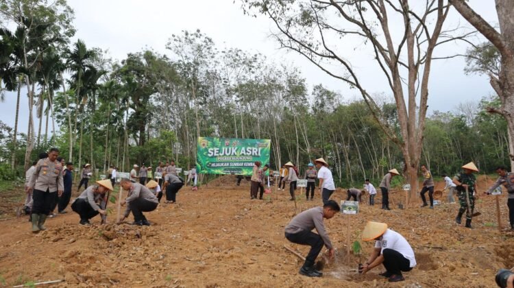Personil Polri terlihat tengah menanam pohon dibekas galian tambang di Kabupaten Sijunjung, Sumatera Barat, Rabu (24/6) Foto: Istimewa