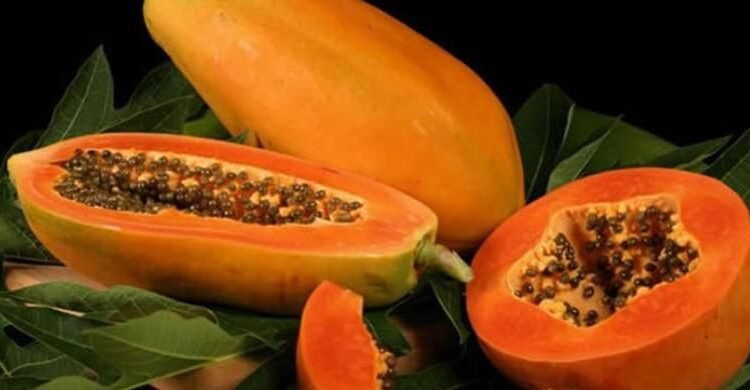 Pepaya Aman untuk Penderita Asam Lambung? Ini Penjelasan Ilmiahnya Meski Kaya Vitamin C