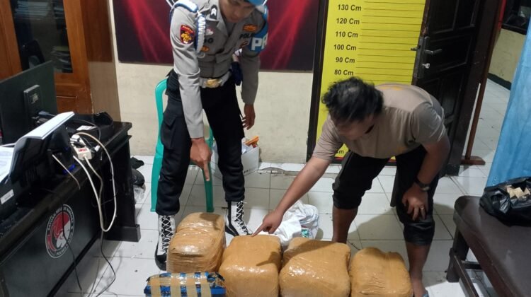 Pria Asal Agam Ini Ketahuan Bawa Ganja Usai Mobilnya Kecelakaan di Solok