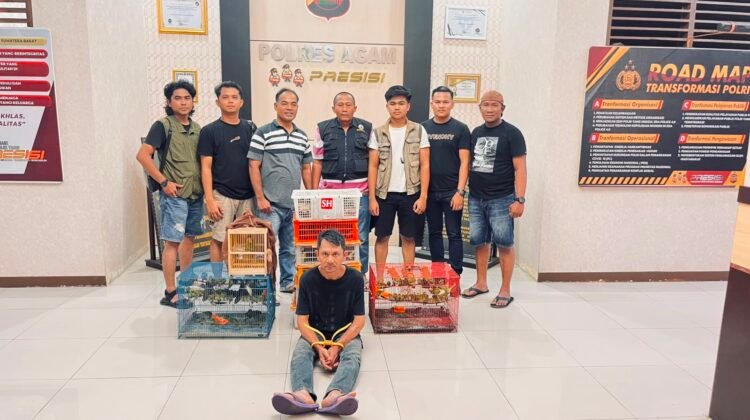 BKSDA Sumbar dan Polres Agam Gagalkan Penyelundupan Ratusan Burung Dilindungi