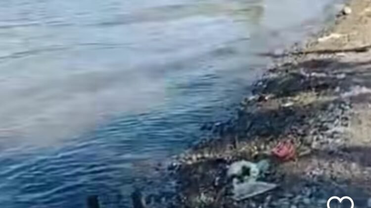 Sesosok Mayat Ditemukan Terapung di Danau Singkarak