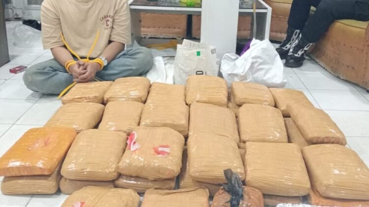  Modus Ekspedisi, Satresnarkoba Polresta Bukittinggi Ungkap Keberadaan 41 Kg Ganja Kering