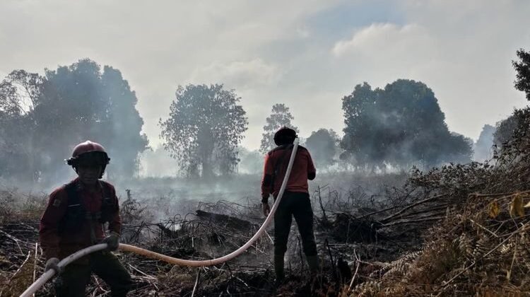 Karhutla Mulai Kepung Pulau Sumatera, Terbanyak di Sumsel