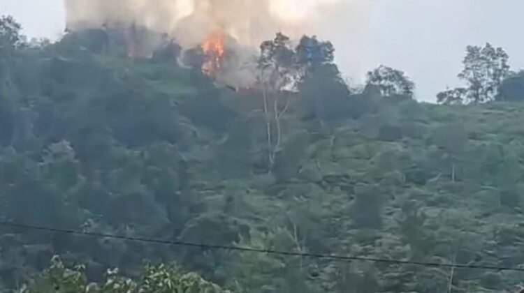 Akibat Bakar Sampah, Hutan di Harau Terbakar 1 Hektar