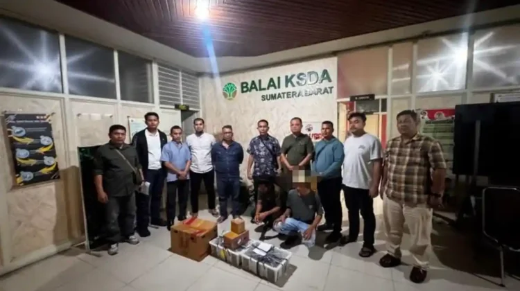 BKSDA Sumbar Gagalkan Perdagangan 25 Ekor Burung Beo Mentawai di Pelabuhan Bungus