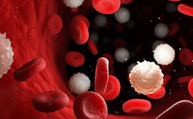 Sering Dikira Kelelahan Biasa, Ini Gejala Leukemia yang Perlu Diwaspadai