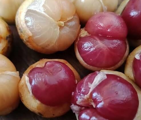 Dulu Jadi Camilan Masa Kecil, Kapunduang Ternyata Punya Banyak Manfaat