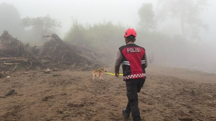 Polda Sumbar Kerahkan Anjing Pelacak Cari Korban Galodo di Solok