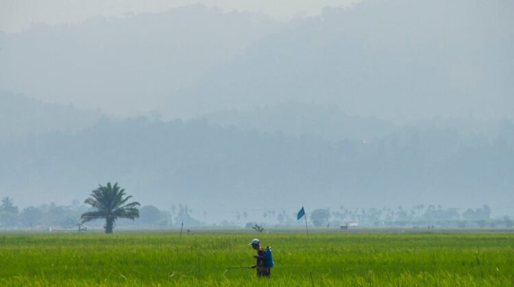 Titik Panas Menggila di Sumsel dan Jambi, Kabut Asap Masuk ke Sumbar