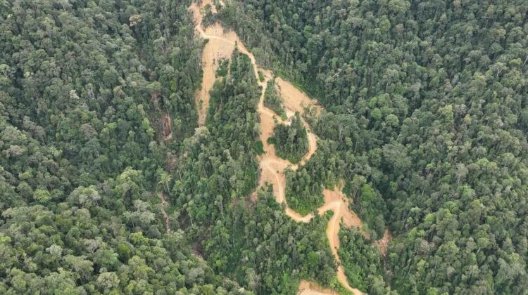 Kapolda Sumbar Berganti, WALHI Soroti PETI yang Tak Kunjung Berhenti