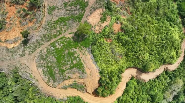 Mantan Walikota Padang Diduga Babat Hutan Lindung Untuk Lapangan Golf di Hulu DAS Air Dingin