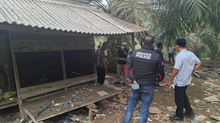 Polres Dharmasraya Gerebek Pondok Sawit Diduga Jadi Lokasi Pesta Sabu