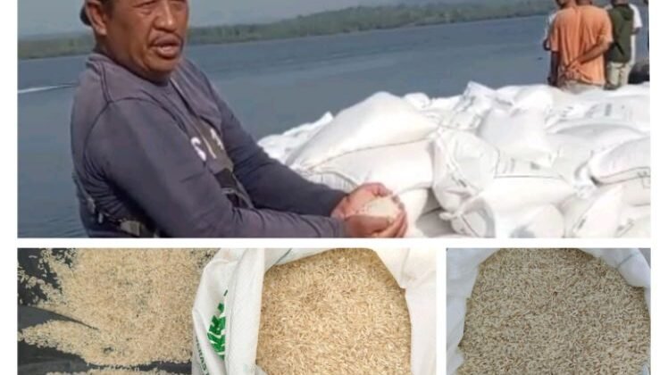 Heboh! Beras Bansos di Siberut Utara Menghitam dan Menguning
