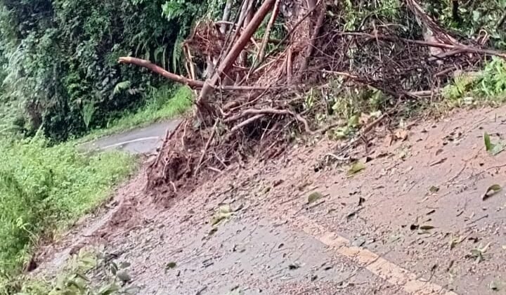 Jalur Terdampak Longsor di Muaro Sungai Lolo Pasaman Kembali Bisa Dilalui