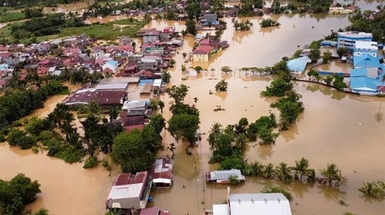LBH Padang Nilai Penindakan Kejahatan Lingkungan di Sumbar Masih Lemah
