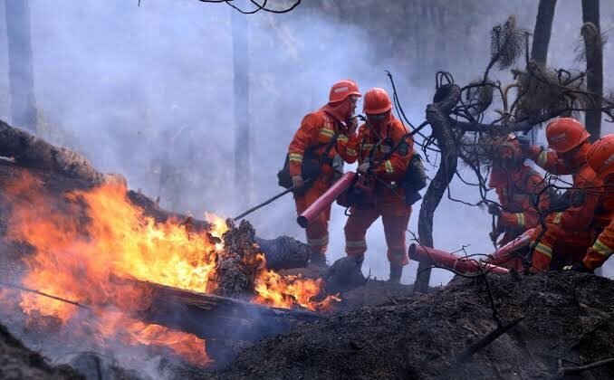 4.806 Hotspot Terdeteksi di Sumatera, Kabut Asap Kembali Selimuti Sumbar
